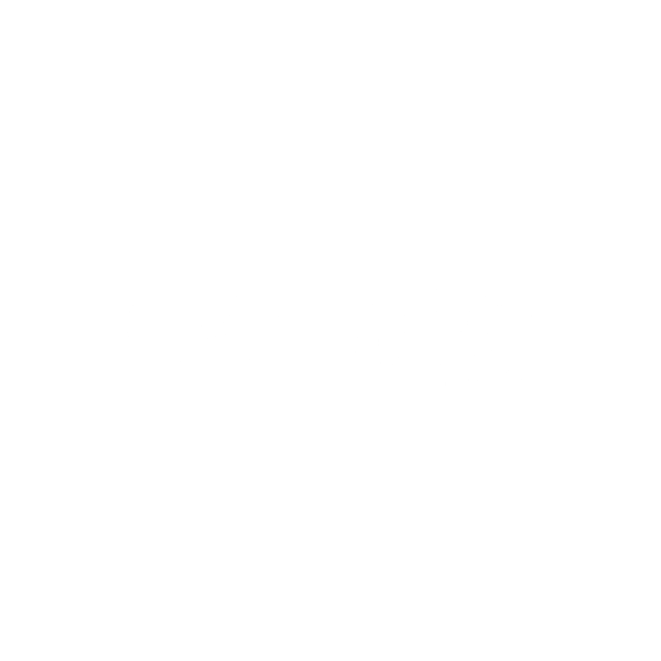 Carlaso Ocasion Benidorm